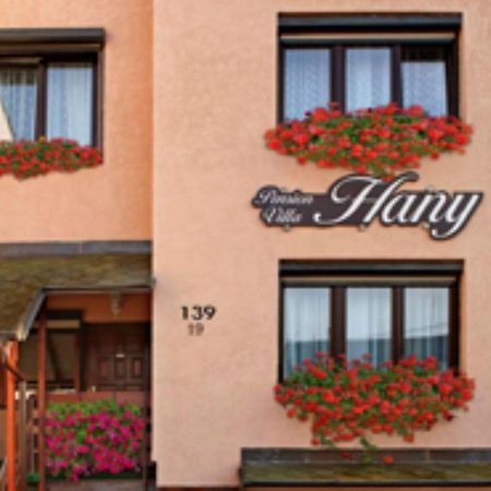 Pension Villa Hany マリアーンスケー・ラーズニェ エクステリア 写真