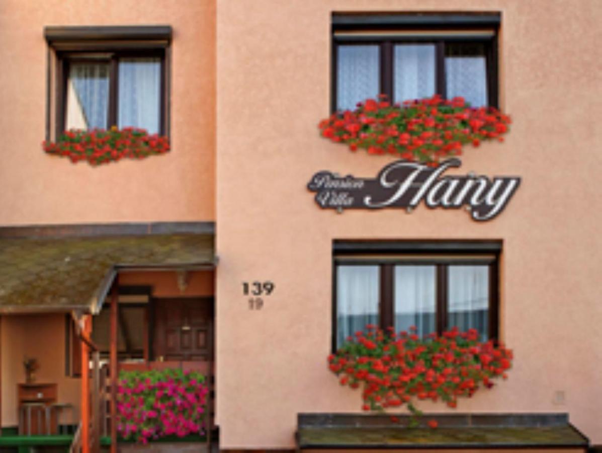 Pension Villa Hany マリアーンスケー・ラーズニェ エクステリア 写真