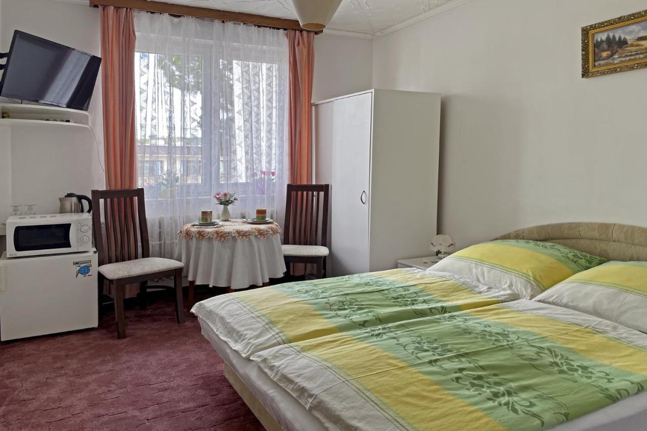Pension Villa Hany マリアーンスケー・ラーズニェ エクステリア 写真