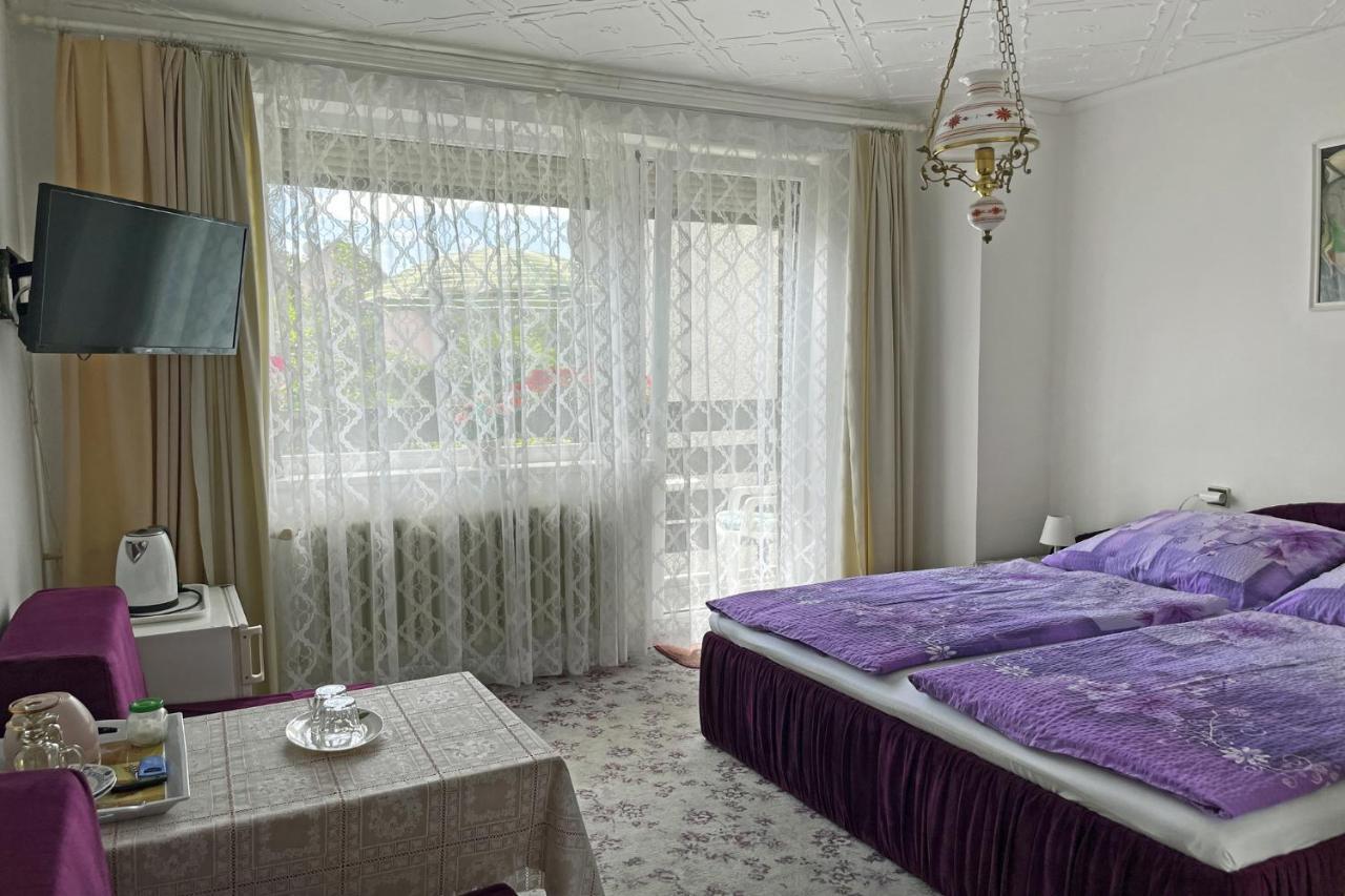 Pension Villa Hany マリアーンスケー・ラーズニェ エクステリア 写真