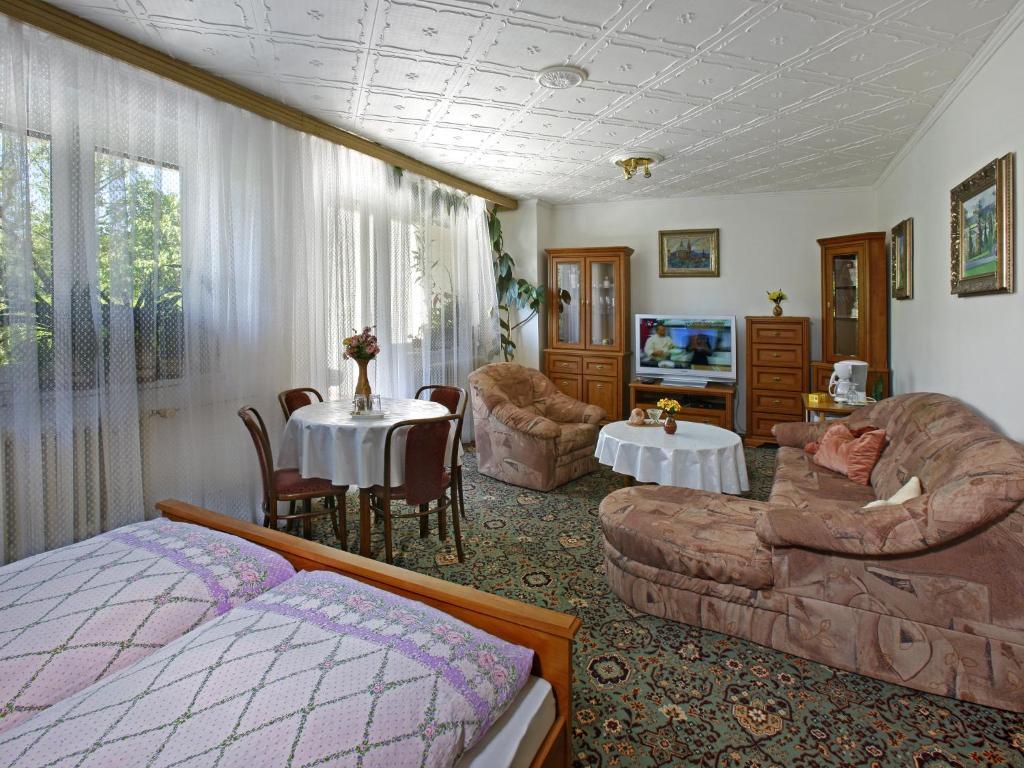 Pension Villa Hany マリアーンスケー・ラーズニェ 部屋 写真