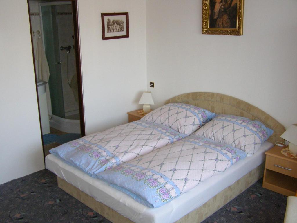 Pension Villa Hany マリアーンスケー・ラーズニェ 部屋 写真